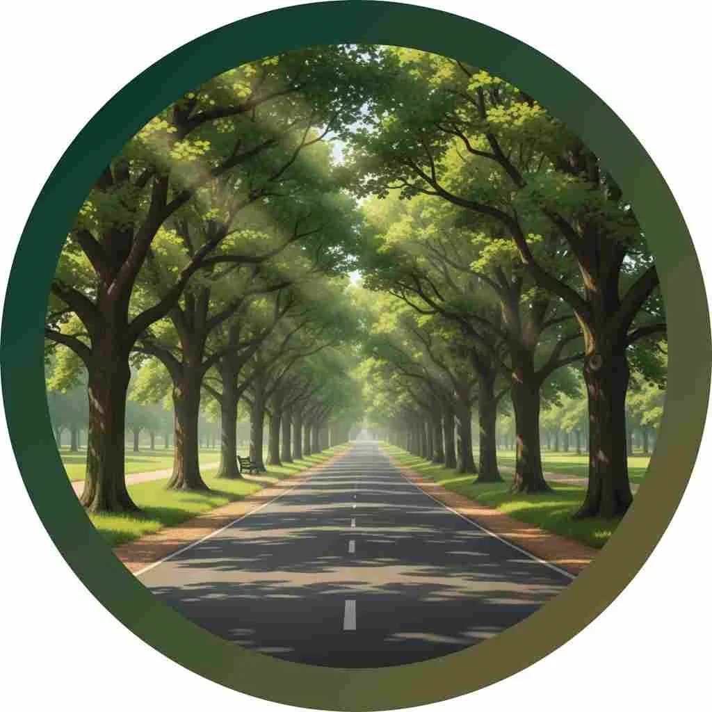 Avenue Trees Image